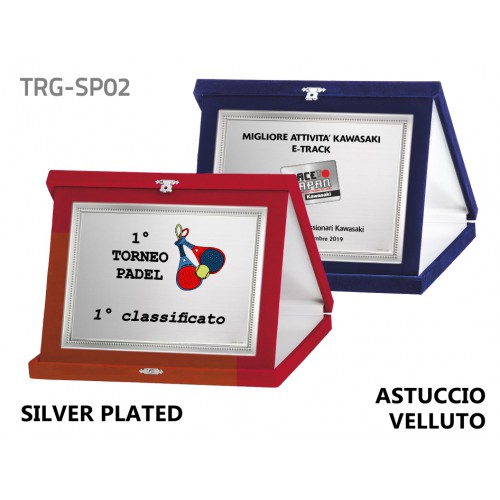 Targa silver plated bordata astuccio velluto